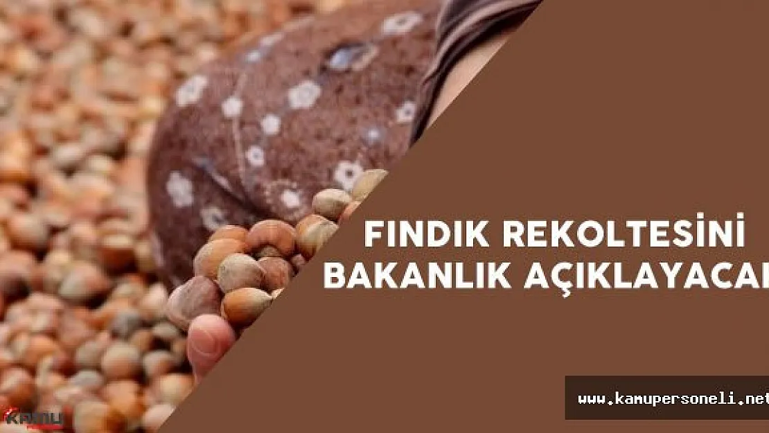 Bakan Çelik : &quot2016 Fındık Rekoltesini Bakanlık Açıklayacak"