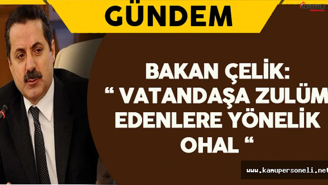 Bakan Çelik: " Vatandaşa Zulüm Edenlere Yönelik OHAL "