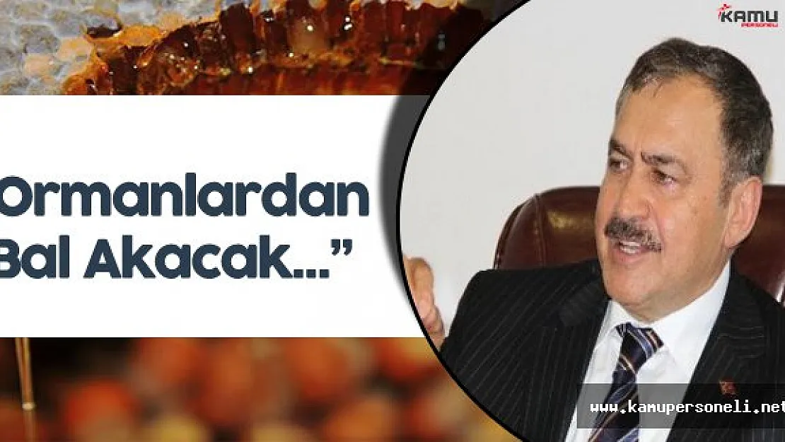 Bakan Eroğlu :" Ormanlardan Artık Bal Akacak..."