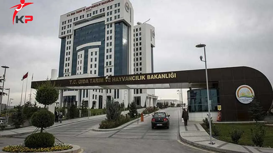 Bakan Fakıbaba'dan Sonra, Gıda Bakanlığından 'ucuz et' Açıklaması