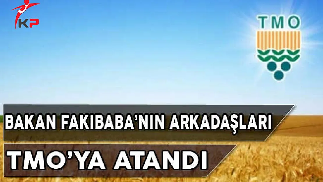 Bakan Fakıbaba'nın 2 Arkadaşı TMO Şirketine Atandı