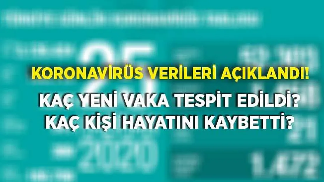 Bakan Koca koronavirüs verilerini açıkladı! Artış var!
