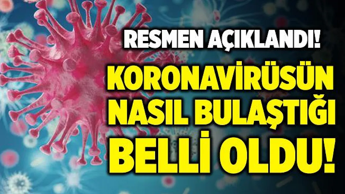 Bakan Koca resmen duyurdu! Koronavirüsün bu şekilde bulaştığı netlik kazandı!