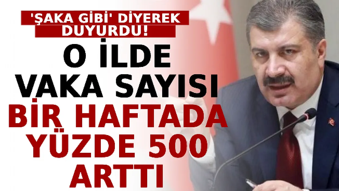 Bakan Koca 'Şaka Gibi' Diyerek Duyurdu: O İlde Vaka Sayısı 1 Haftada 5 Kat Arttı
