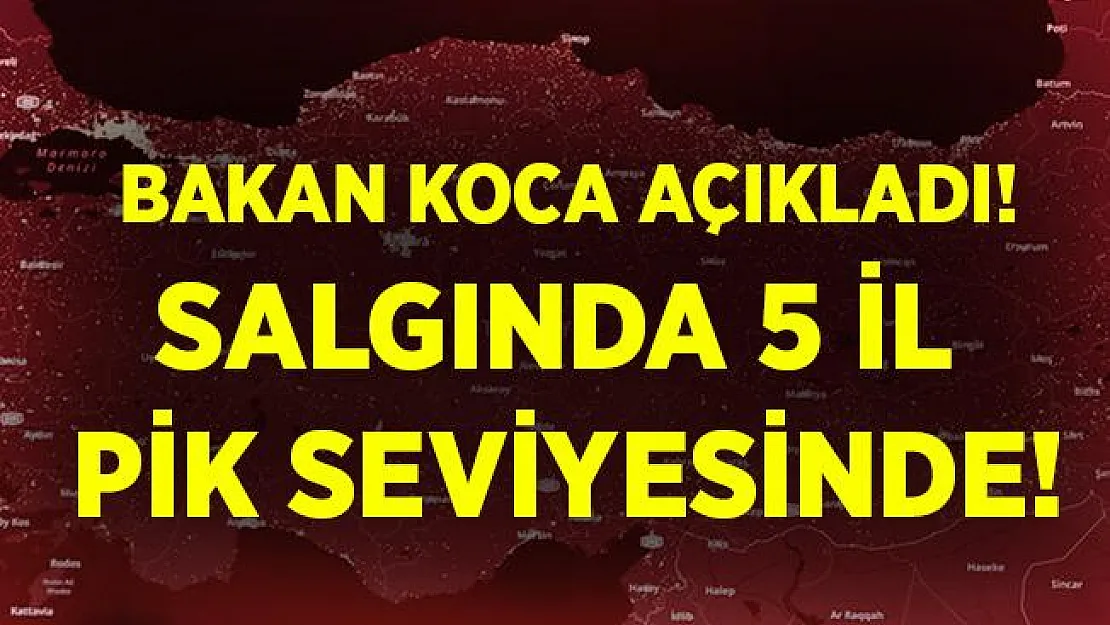 Bakan Koca salgında 5 ilin pik seviyesine ulaştığını açıkladı! İşte o 5 il..