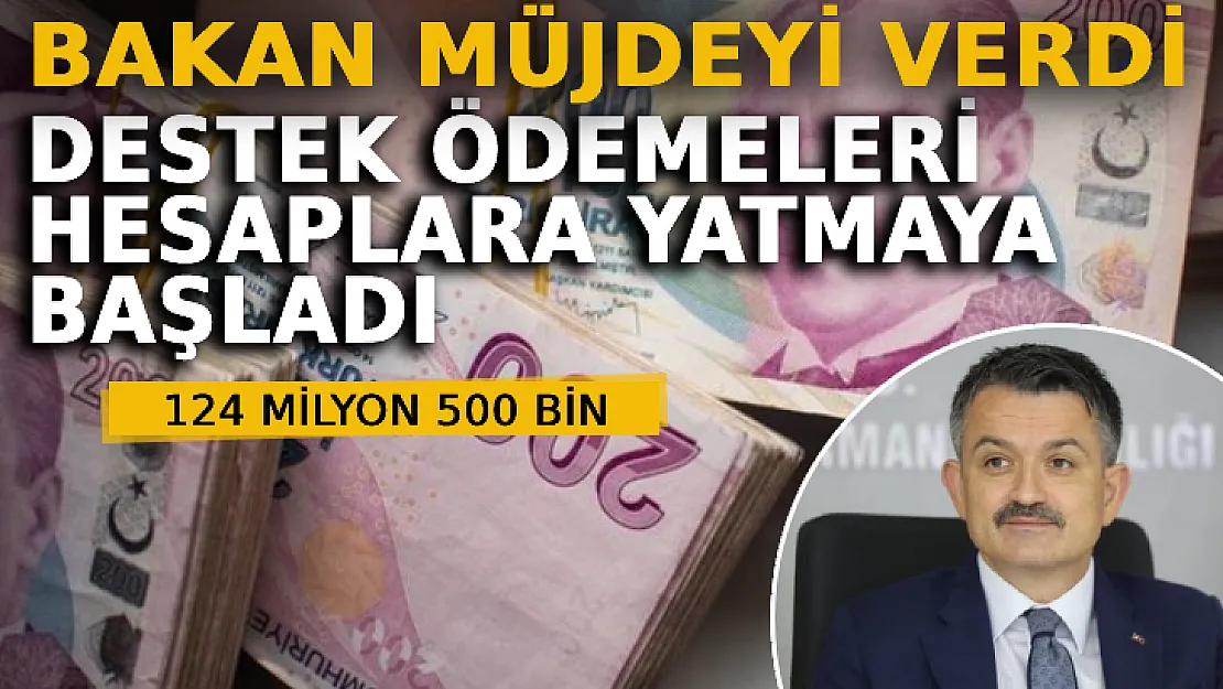 Bakan Müjdeyi Verdi: Destek Ödemeleri Hesaplara Yatmaya Başladı