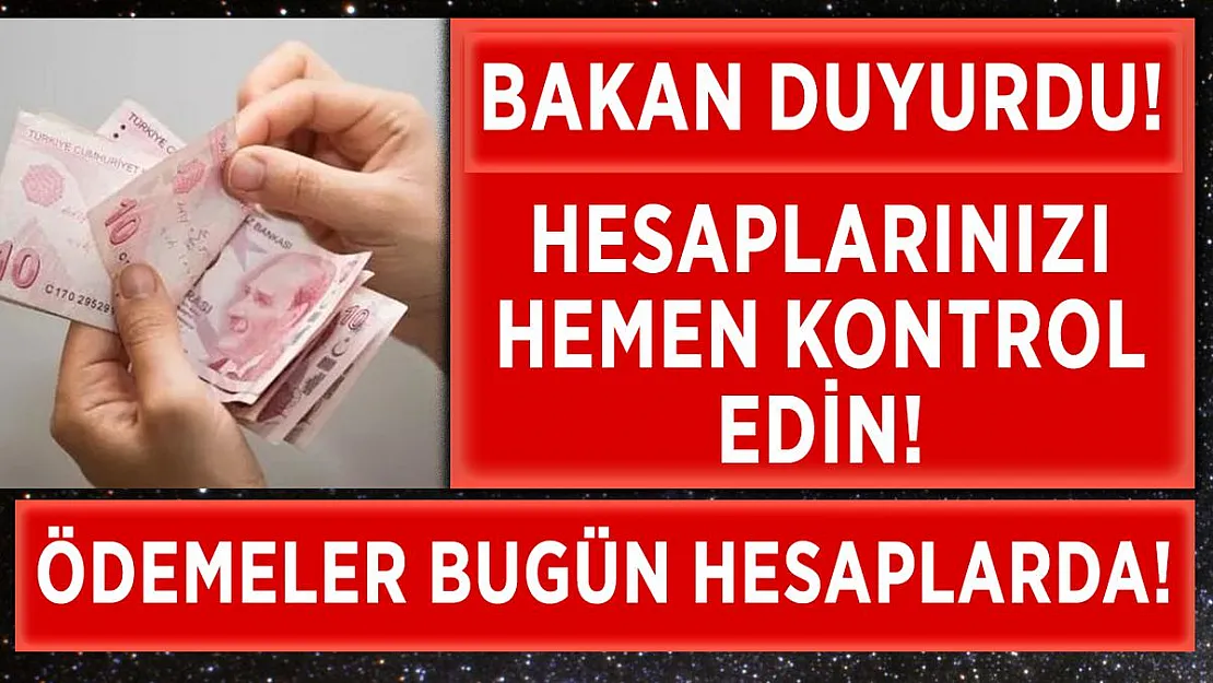 Bakan Pakdemirli duyurdu! Hayvancılık destek ödemeleri hesaplara yatırılıyor!