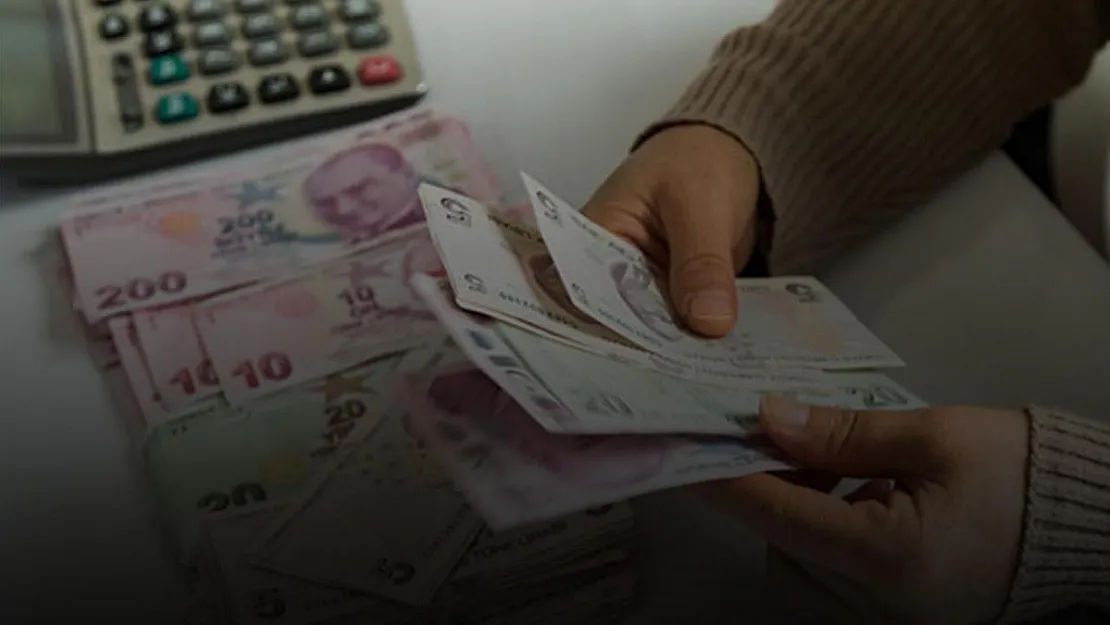 Bakan Pakdemirli duyurdu! Ödemeler Ocak'ta başlıyor!