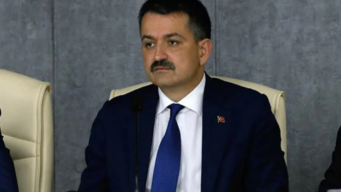 Bakan Pakdemirli: Papağana Şiddet Konusunda Suç Duyurusunda Bulunulması İçin Talimat Verdim