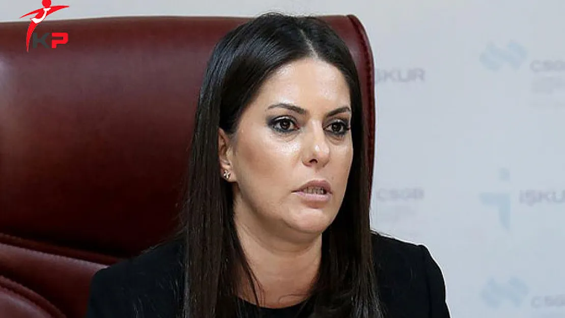 Bakan Sarıeroğlu Kadroya Dahil Olan Kurumları Açıkladı