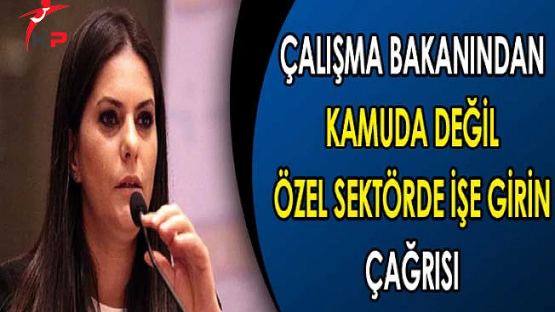 Bakan Sarıeroğlu'ndan Kamuda Değil Özel Sektörde İşe Girin Çağrısı !