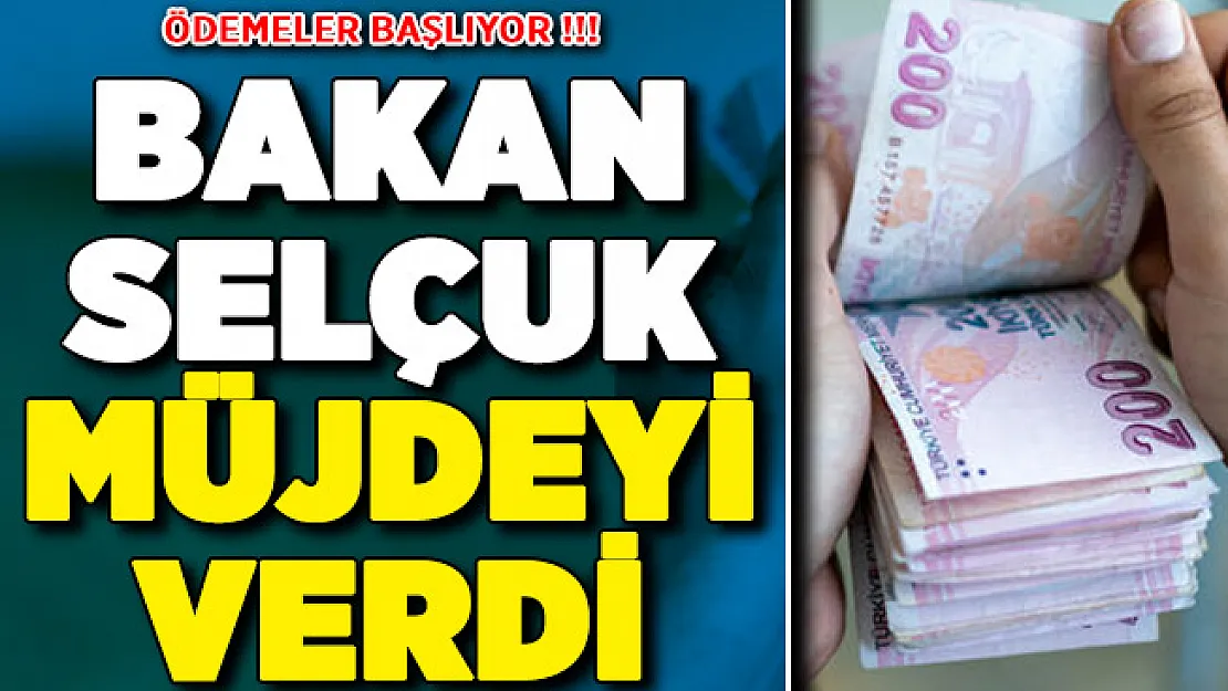 Bakan Selçuk Duyurdu: Doğum Yardımı Ödemeleri Başlıyor