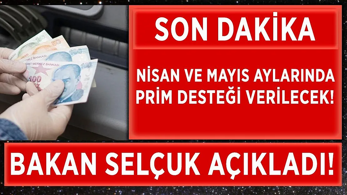Bakan Selçuk'tan prim desteği açıklaması!