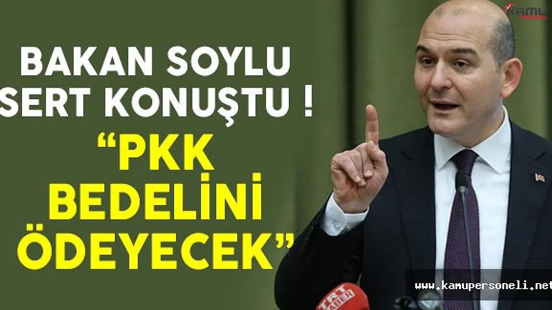 Bakan Soylu açıkladı: 'Budak'ı PKK Öldürdü Bedelini Ödeyecek'