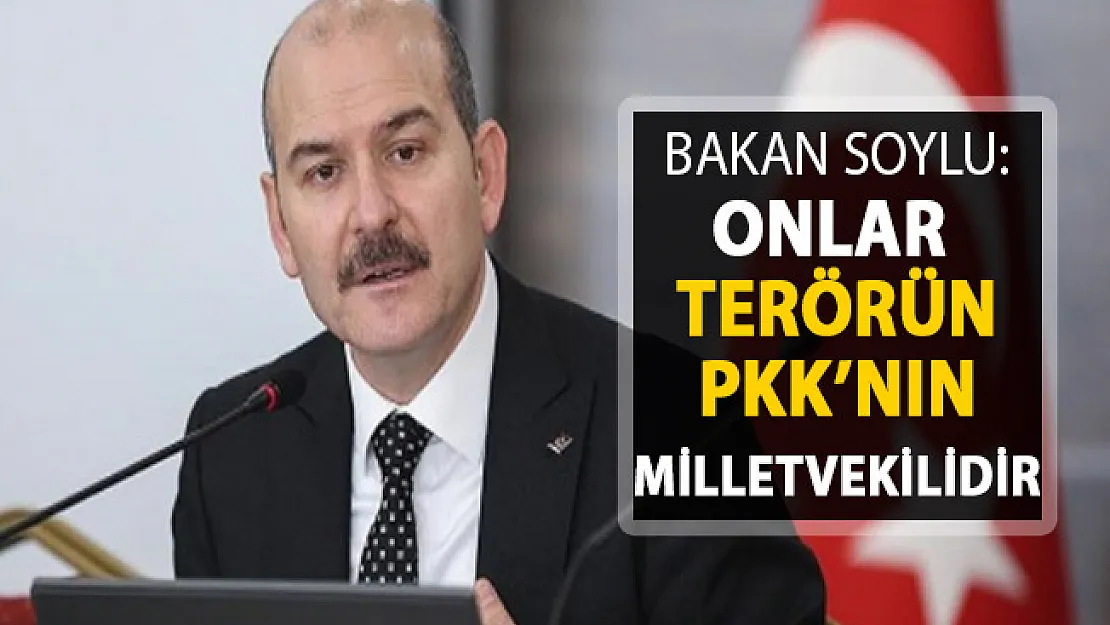 Bakan Soylu: Onlar PKK'nın Milletvekilleridir