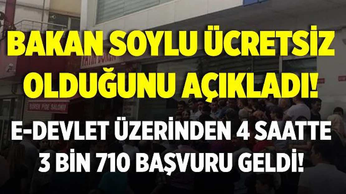 Bakan Soylu ücretsiz olacağını söyledi! E-Devlet'ten sadece 4 saatte 3 binden fazla kişi başvurdu!