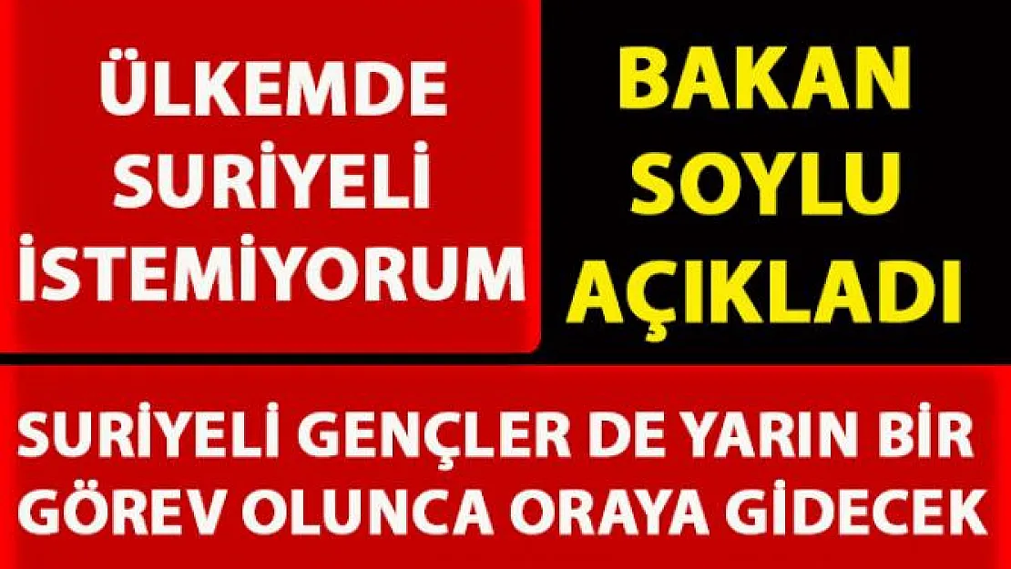 Bakan Soylu, 'Ülkemde Suriyeli İstemiyorum' adlı yürütülen kampanya hakkında konuştu