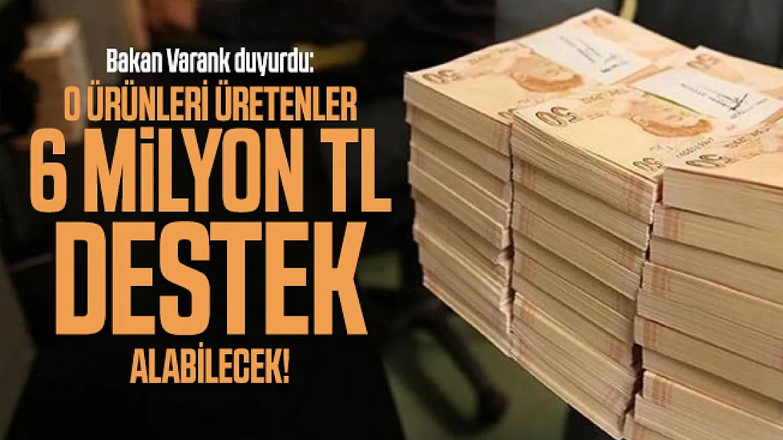 Bakan Varank duyurdu: O ürünleri üretenler 6 milyon TL destek alabilecek!