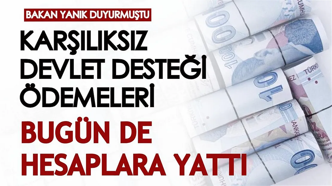 Bakan Yanık açıklamıştı: Karşılıksız devlet desteği ödemeleri hesaplara yatmaya devam ediyor