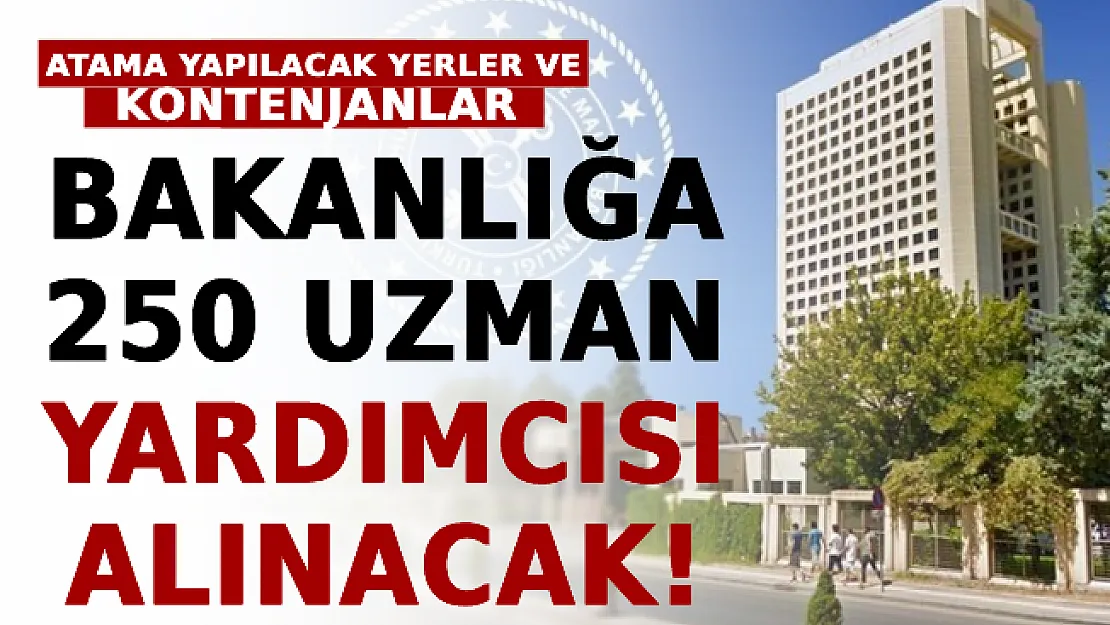 Bakanlığa 250 Uzman Yardımcısı Alınacak! İşte Atama Yapılacak Yerler ve Kontenjanlar