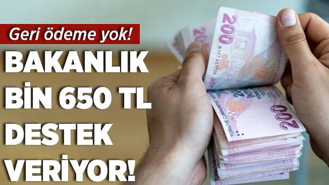 Bakanlık bin 650 TL nakit desteği veriyor! Geri ödeme yok!