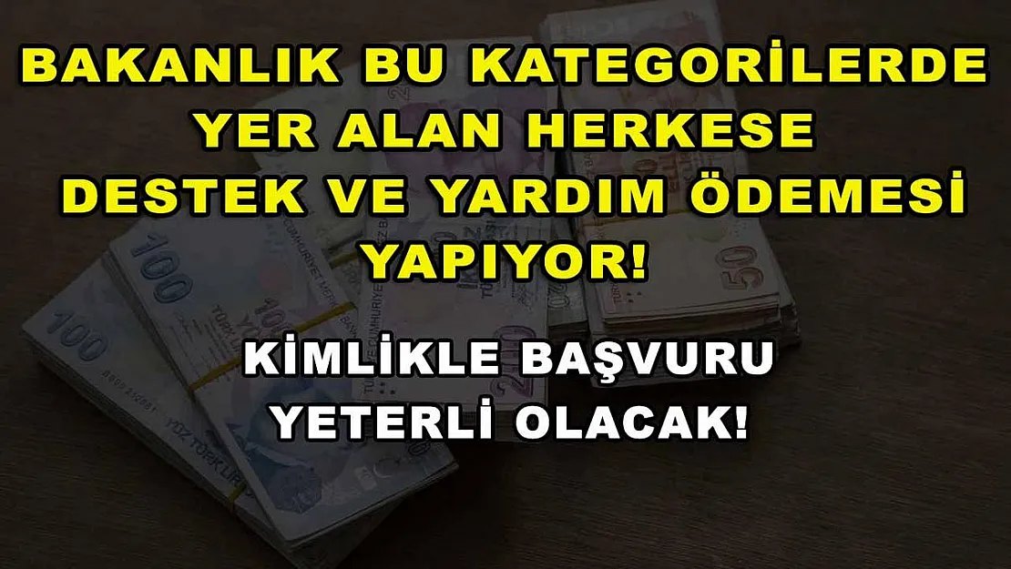 Bakanlık bu kategorilerde yer alan herkese destek ve yardım ödemesi yapıyor! Kimlikle başvuru yeterli olacak!