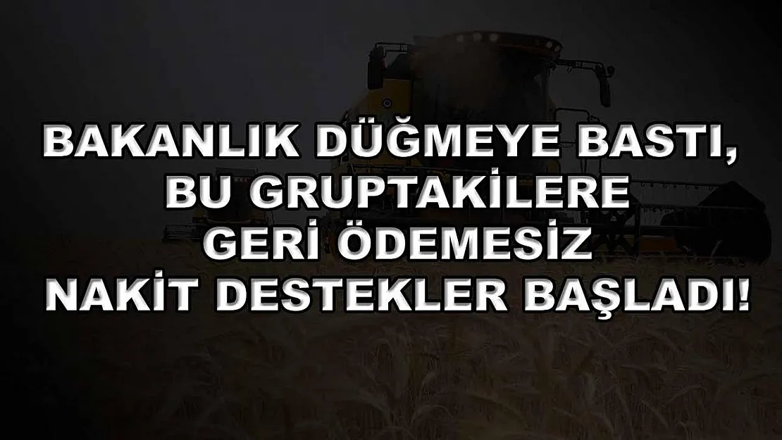 Bakanlık düğmeye bastı, bu gruptakilere geri ödemesiz nakit destekler başladı!