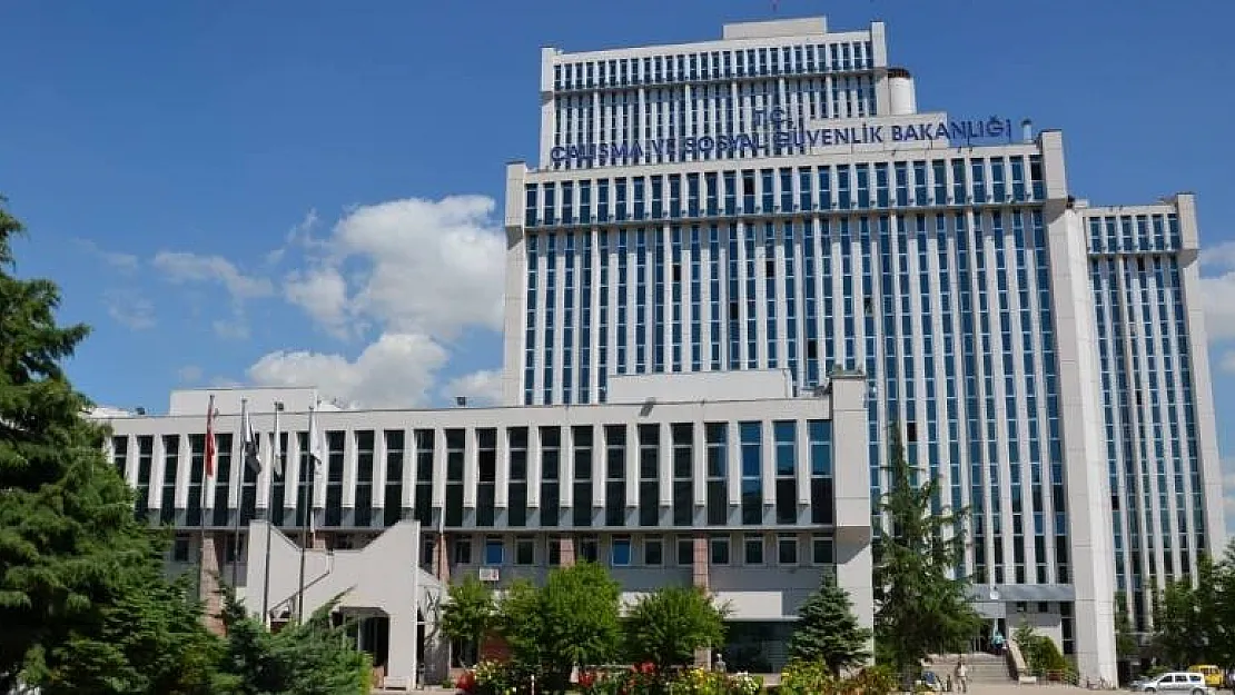 Bakanlık Duyurdu: 20 Kamu Personeli Alınacak! İşte Kadro Dağılımları ve Aranan Şartlar