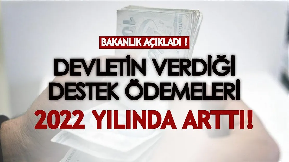 Bakanlıktan açıklama geldi! İhtiyaç sahibi herkese verilen ödemeler artıyor!
