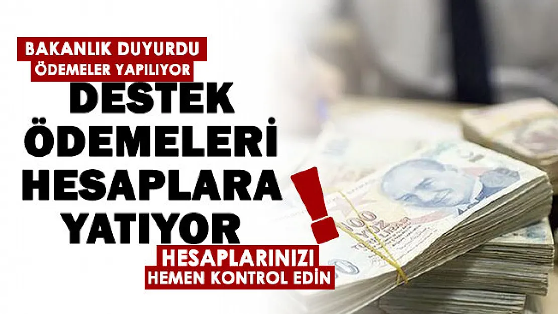 Bakanlıktan çok önemli duyuru geldi: Destek ödemeleri hesaplara yatmaya başladı! Hesaplarınızı kontrol edin