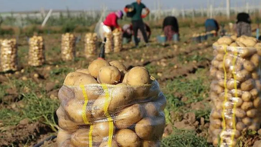 Bakanlıktan patates ve soğan kararı!