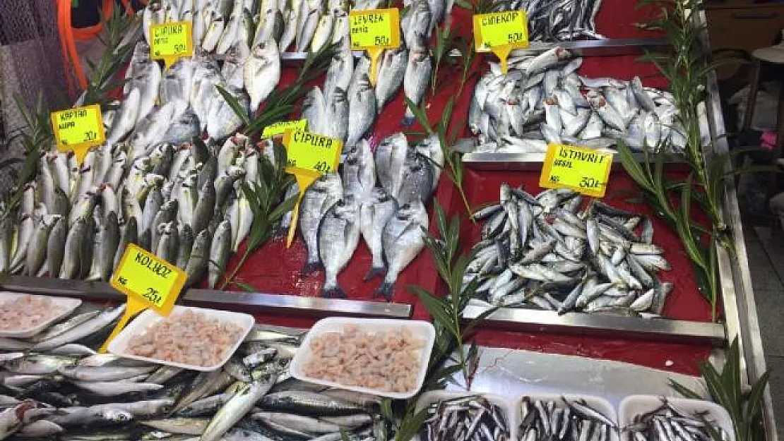 Balık fiyatları arttı! Sezon erken mi bitecek?