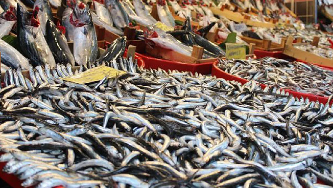Balık Fiyatları Yükselişe Geçti! Balık Fiyatları Ne Kadar?