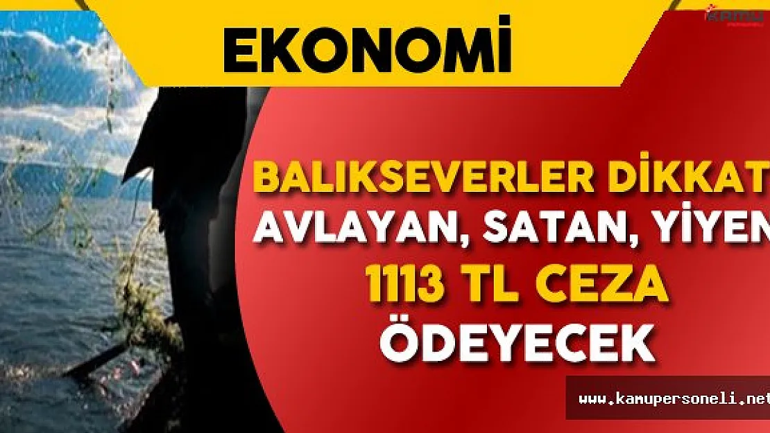 Balık Sezonu Başladı ! Peki Balık Fiyatları Ne Olacak?