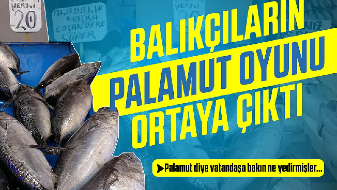 Balıkçıların palamut oyunu ortaya çıktı!