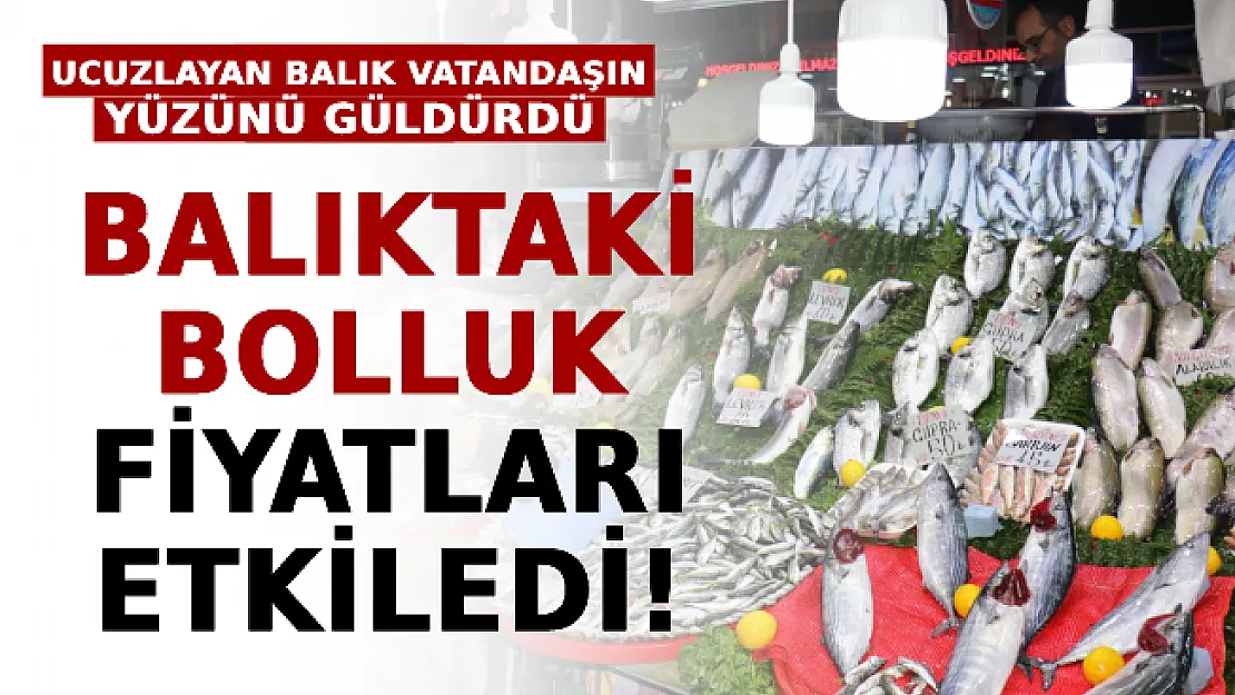Balıktaki Bolluk Fiyatları Etkiledi! Ucuzlayan Balık Vatandaşın Yüzünü Güldürdü