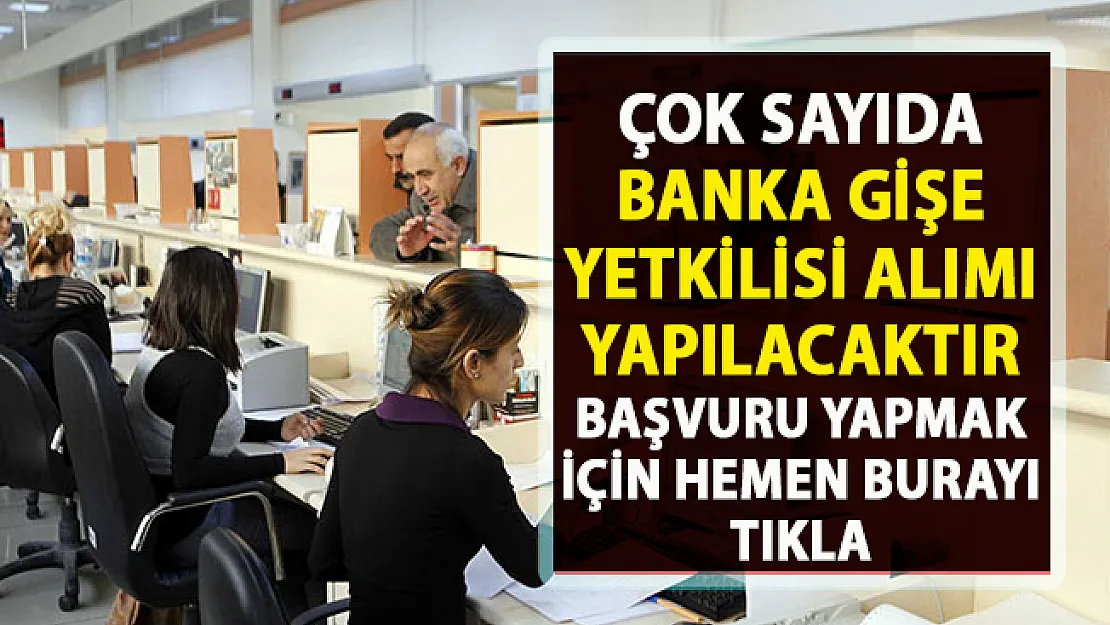 Banka personeli alımı yapılacaktır! Banka personel alımı iş ilanları!..