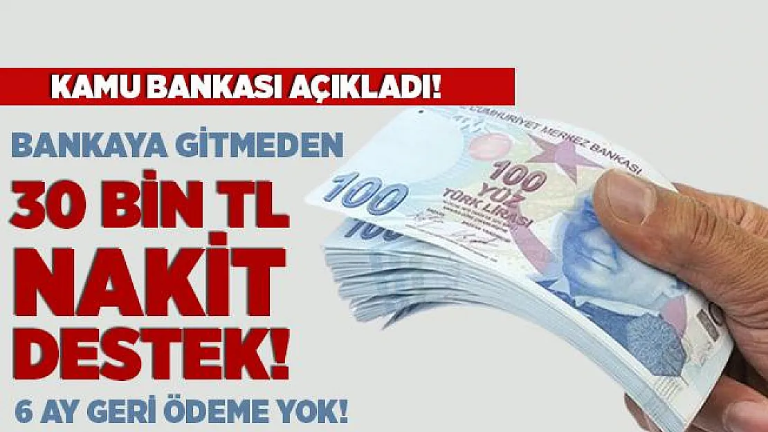Bankaya gitmeden 30 Bin TL nakit destek alabilirsiniz! 6 ay geri ödeme yok! Online başvuru ekranı