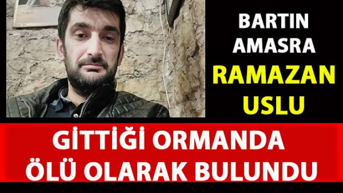 Bartın'ın Amasra ilçesinde odun toplamaya giden Ramazan Uzunay ölü olarak bulundu