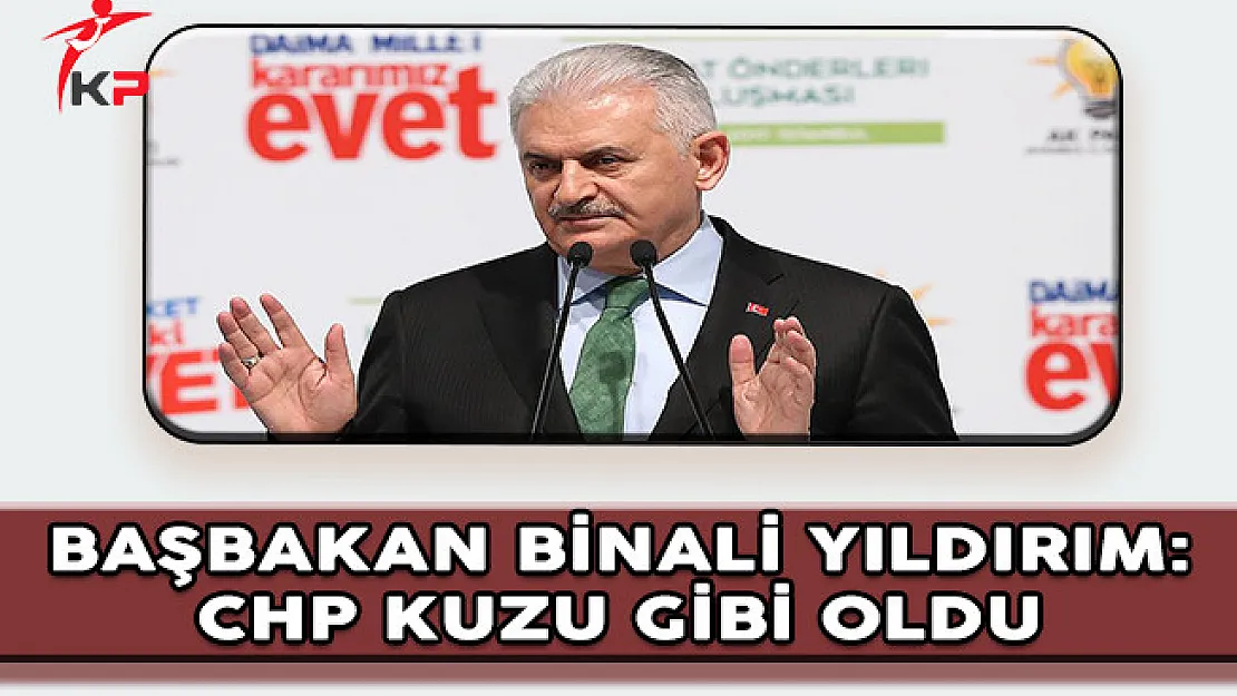 Başbakan Binali Yıldırım: CHP Birden Kuzu Gibi Oldu