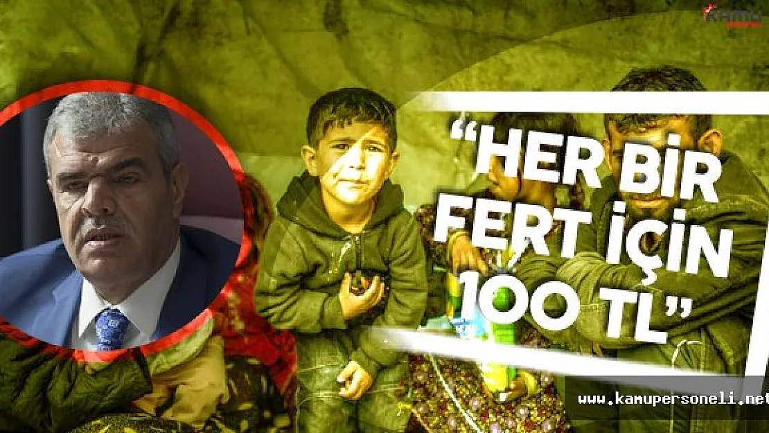 Başbakan Yardımcısı: &quotKartlara 100 TL Yüklenecek"