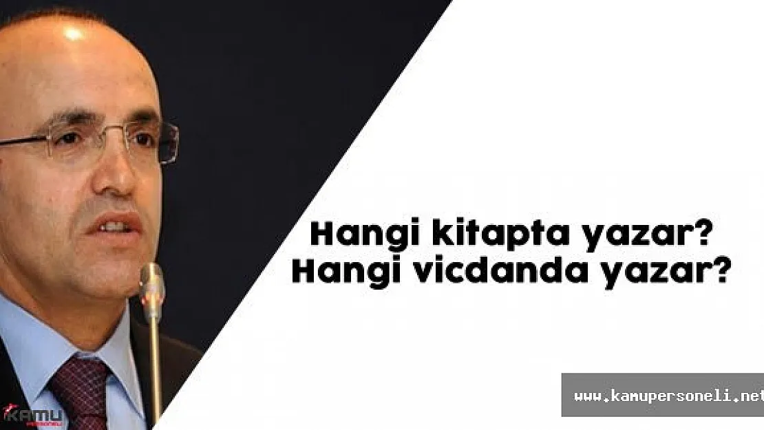 Başbakan Yardımcısı Şimşek  : " Siyasi İstikrar Olursa ..."
