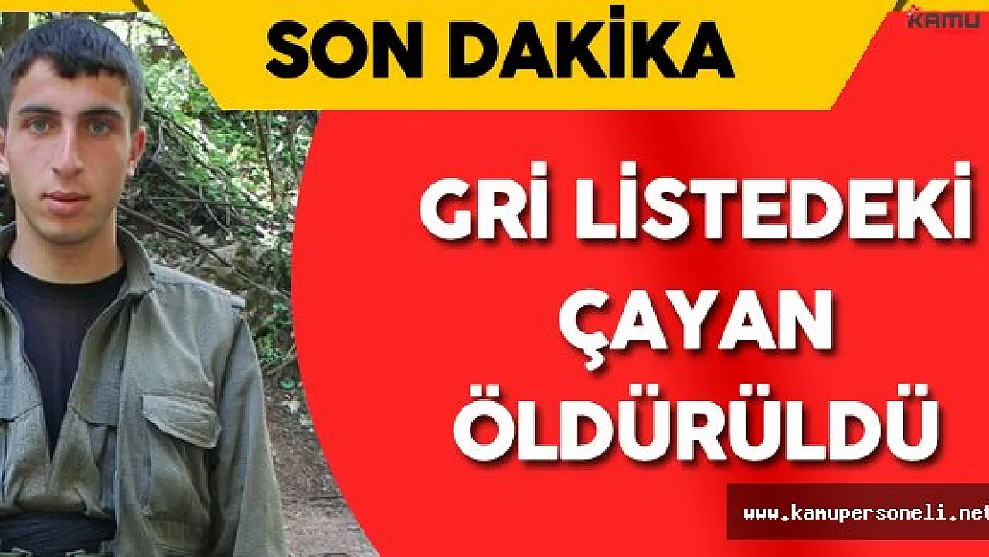 Başına 300 Bin TL Ödül Koyulan Terörist Öldürüldü