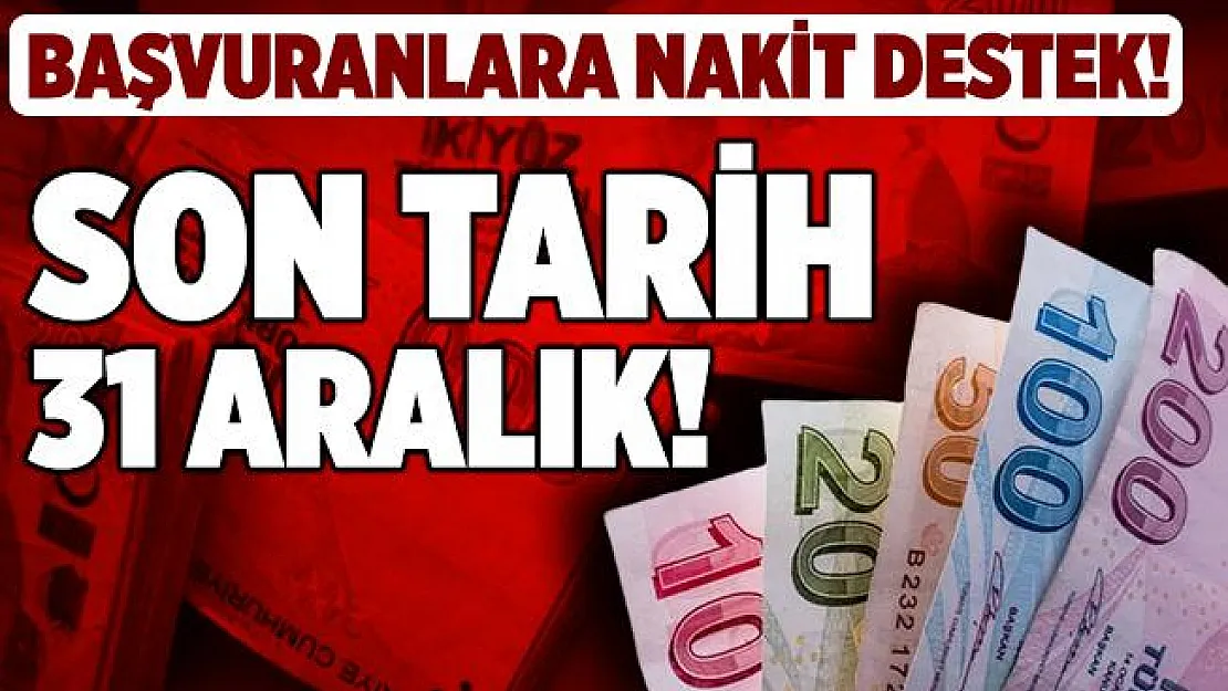 Başvuran herkes hibe desteği veriliyor! 31 Aralık'a kadar başvurabilirsiniz!