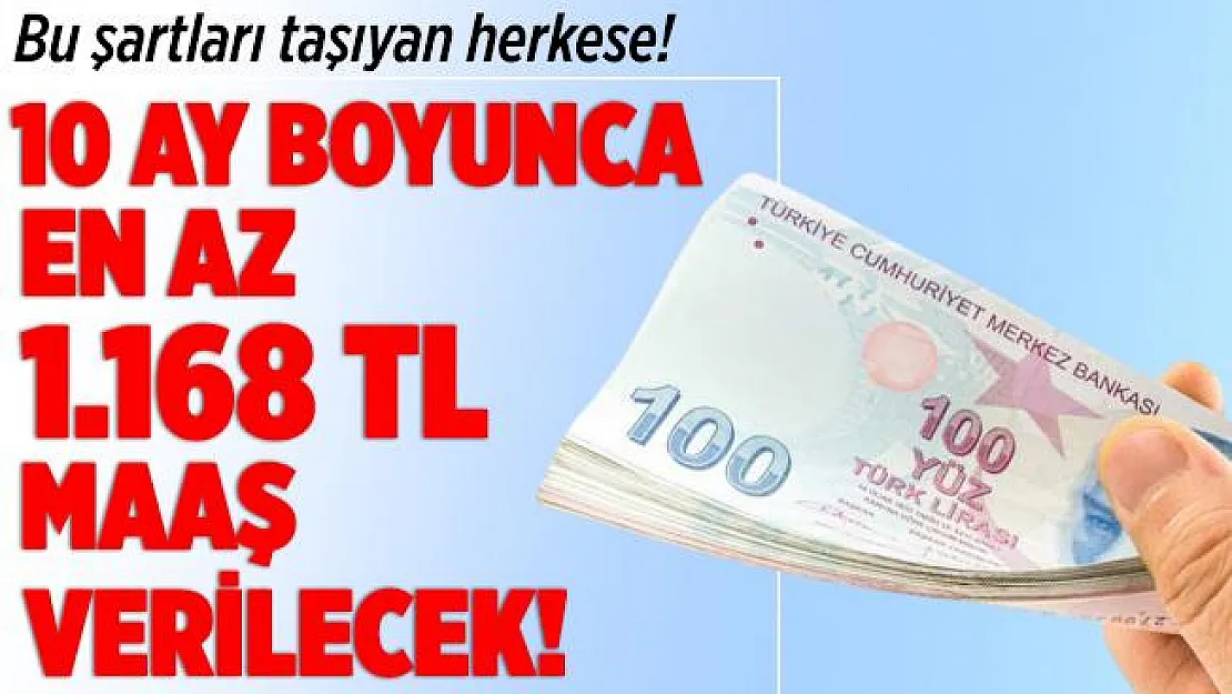 Başvuru için gerekli şartları taşıyan herkese 10 ay boyunca en az 1.168 TL maaş verilecek!