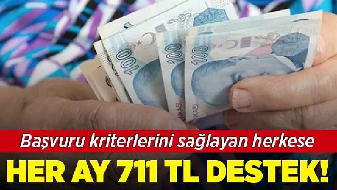 Başvuru kriterlerini sağlayan herkese her ay 711 TL destek! Başvuru şartları neler?