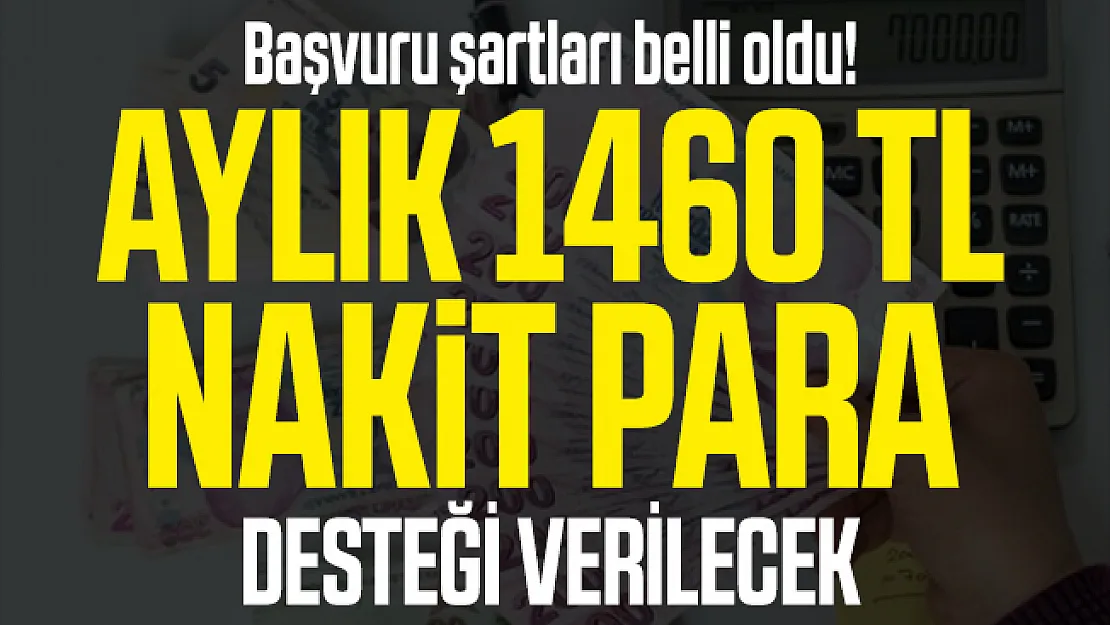 Başvuru şartları belli oldu! Aylık 1460 TL Nakit para desteği verilecek