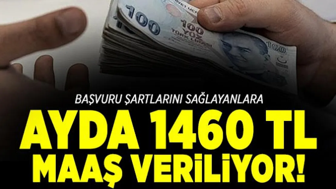 Başvuru şartlarını sağlayanlara ayda 1460 TL maaş veriliyor!