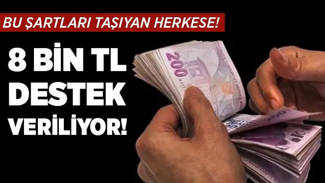 Başvuru şartlarını taşıyan herkese 8 bin TL destek veriliyor! 8 bin TL destek başvuru şartları neler?