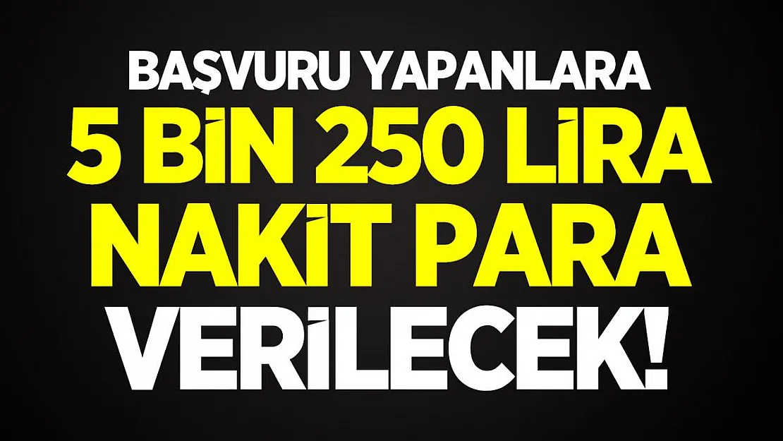 Başvuru yapanlara 5 bin 250 lira nakit para verilecek! Başvuru detayları belli oldu